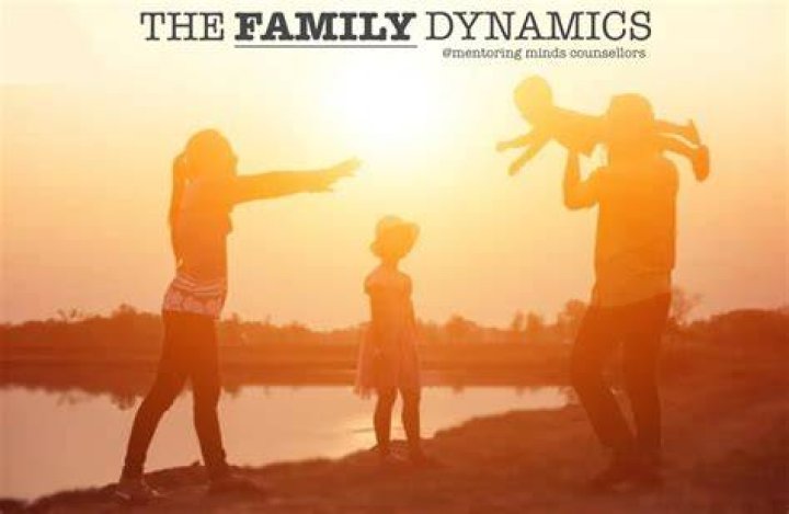A Journey Into Fake Family Dynamics