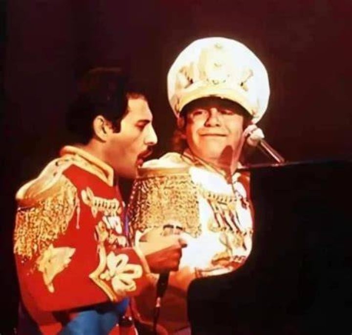 Adopted By Freddie Mercury Surprise from Freddie Wattpad