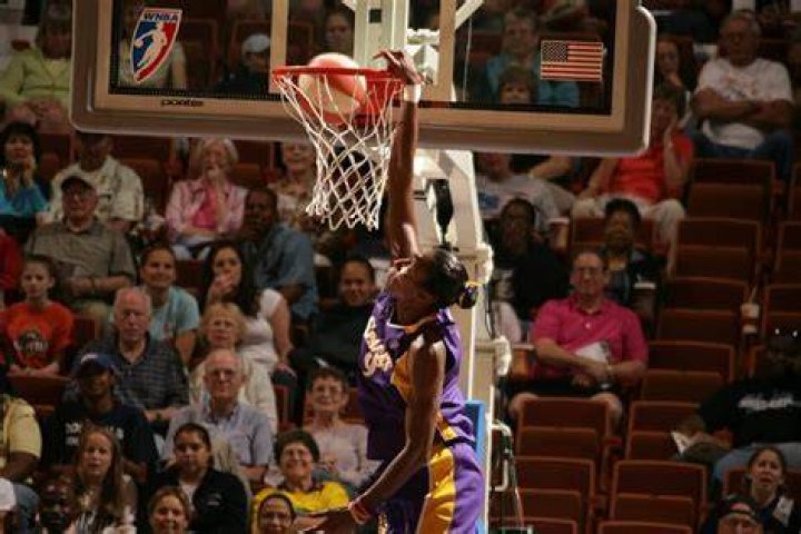 Dunk Expert Lisa Leslie's Husband Is Boeing 767 Captain, Flower Girls