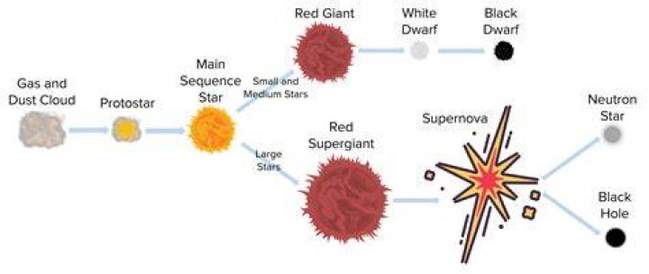 Exploring The Life Of A Star's Offspring