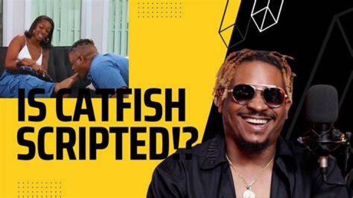 Is Catfish Scripted? Is Catfish Fake or Real?