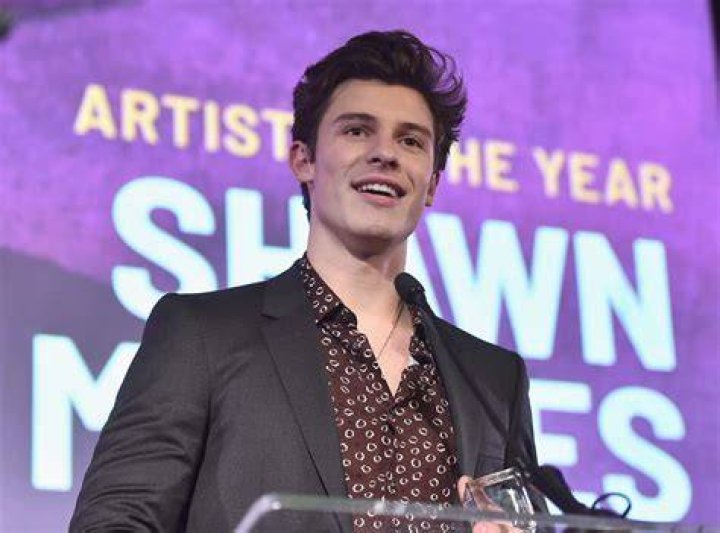 Shawn Mendes feels pressured to 'prove' he's not gay